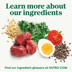 Nutro Natural Choice Chicken & Brown Rice Large Breed Adult Dry Dog Food 30-lb