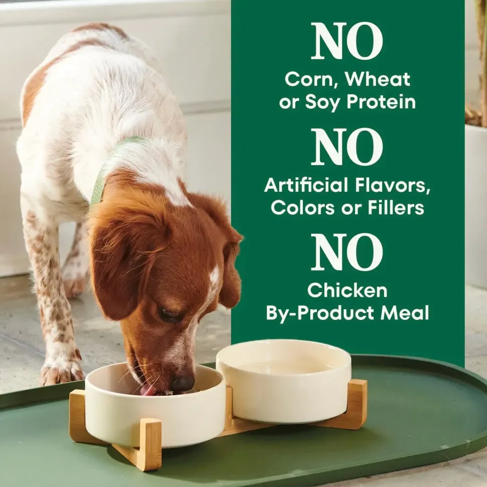 Nutro Natural Choice Chicken & Brown Rice Small Breed Senior Dry Dog Food 5-lb