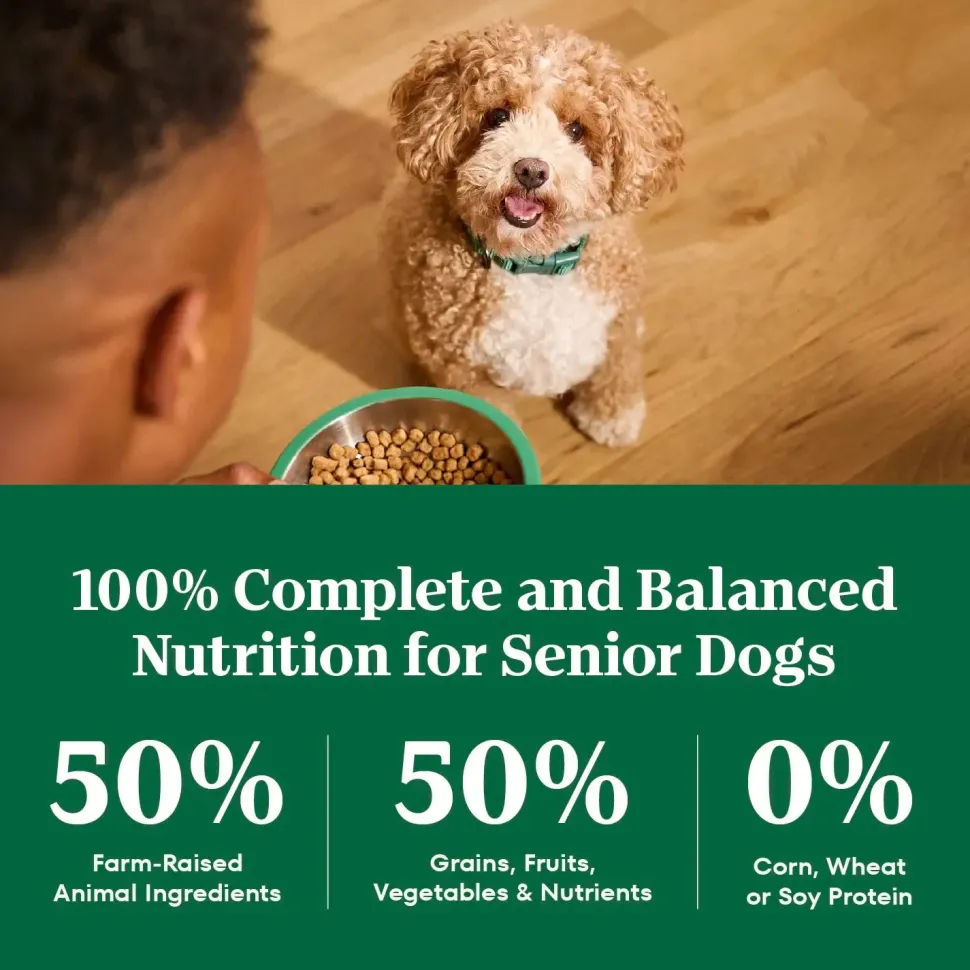 Nutro Natural Choice Chicken & Brown Rice Small Breed Senior Dry Dog Food 5-lb