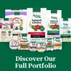 Nutro Natural Choice Lamb & Brown Rice Small Bites Adult Dry Dog Food 5-lb