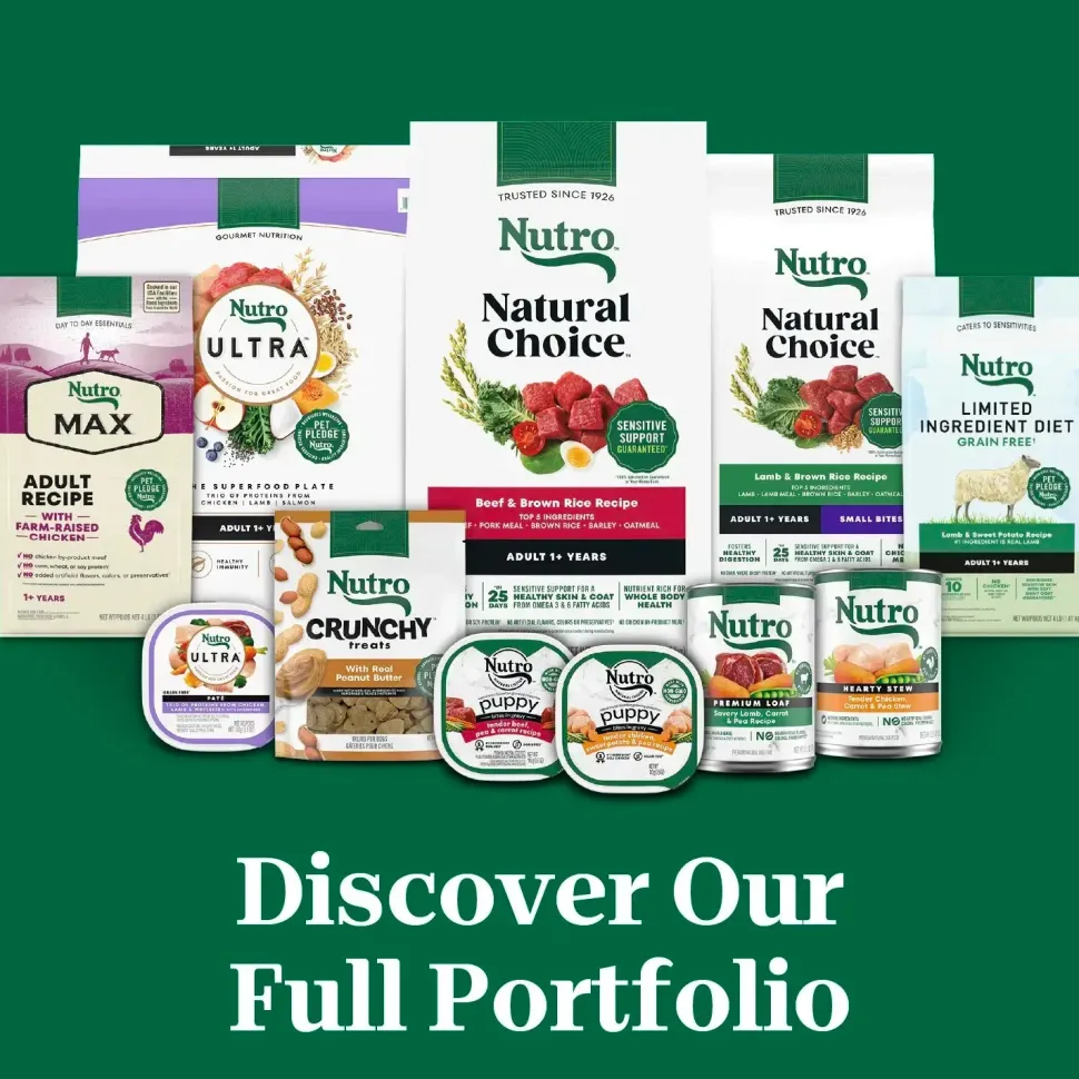 Nutro Natural Choice Lamb & Brown Rice Small Bites Adult Dry Dog Food 5-lb