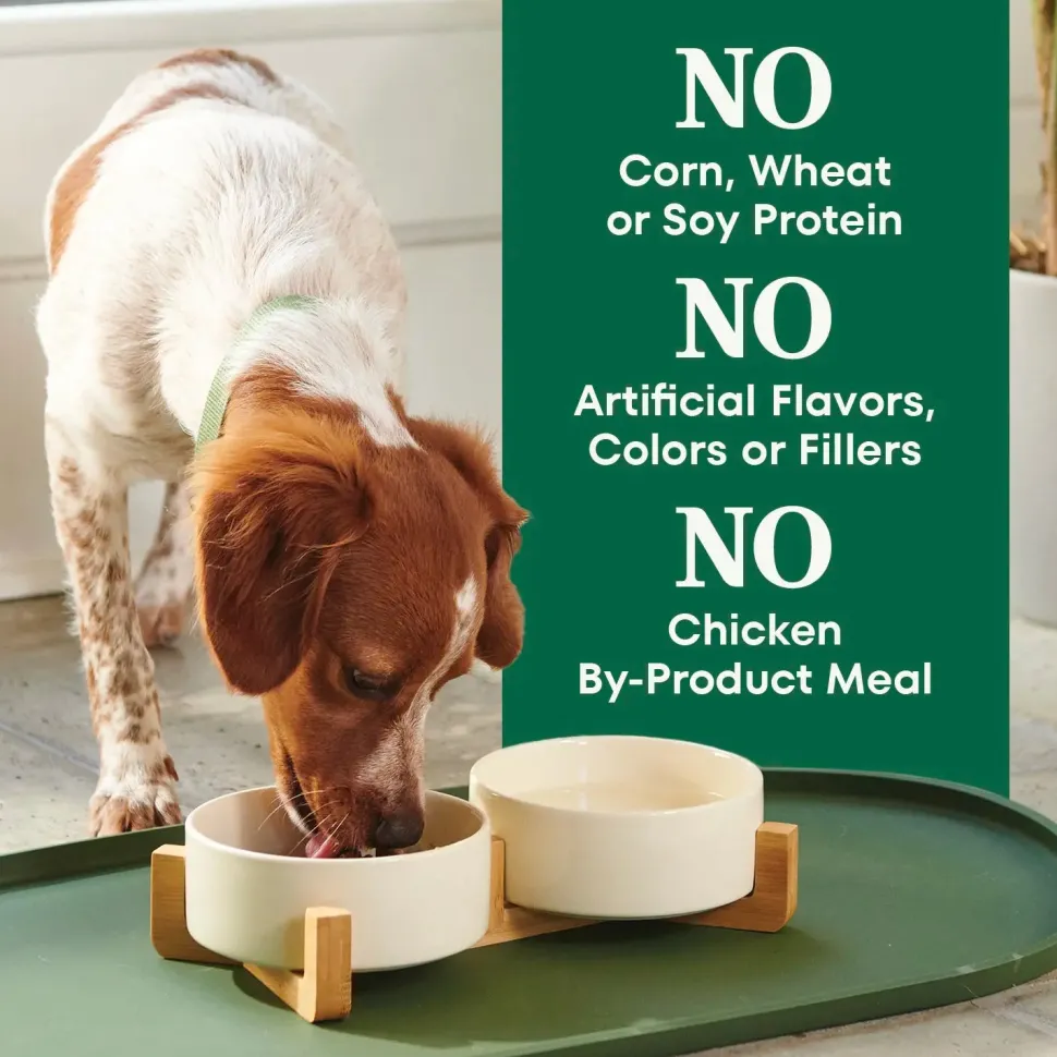 Nutro Natural Choice Lamb & Brown Rice Small Bites Adult Dry Dog Food 5-lb