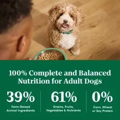 Nutro Natural Choice Lamb & Brown Rice Small Bites Adult Dry Dog Food 5-lb