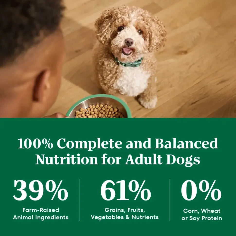 Nutro Natural Choice Lamb & Brown Rice Small Bites Adult Dry Dog Food 5-lb