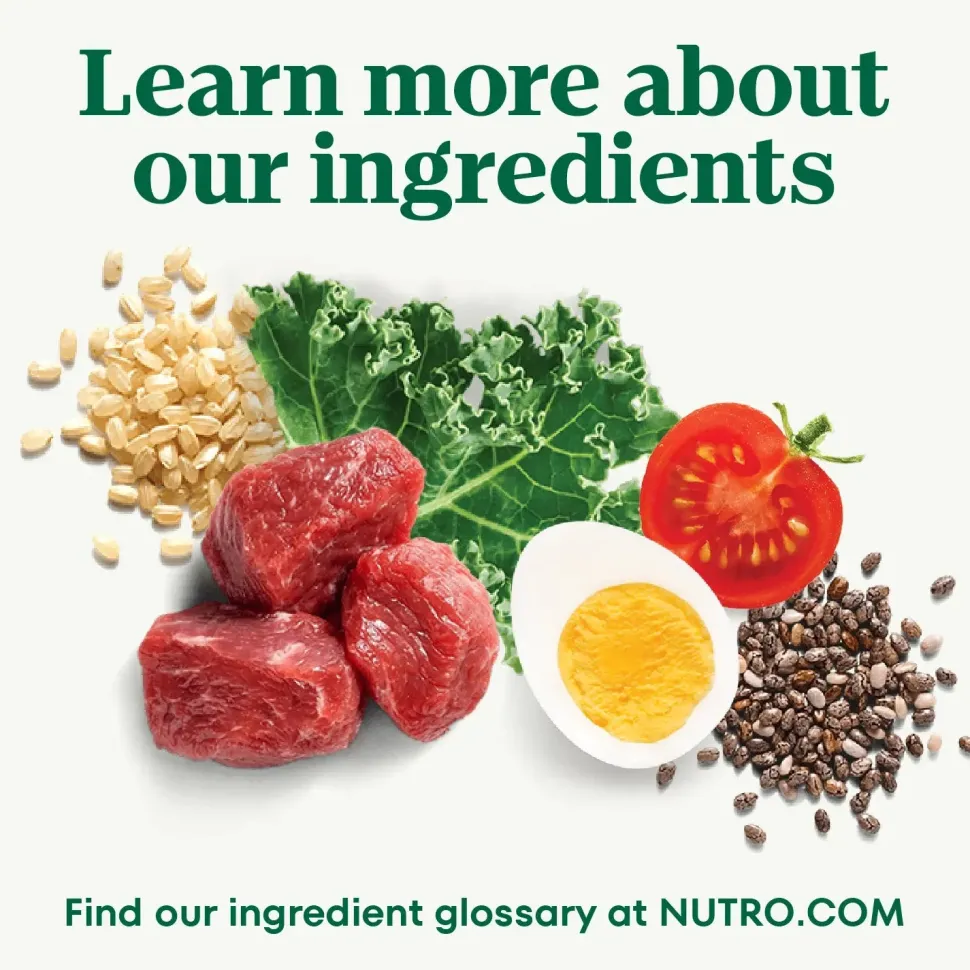 Nutro Natural Choice Lamb & Brown Rice Healthy Weight Adult Dry Dog Food 30-lb