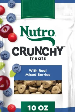 Nutro Natural Choice Mixed Berry Crunchy Dog Treats 10-oz