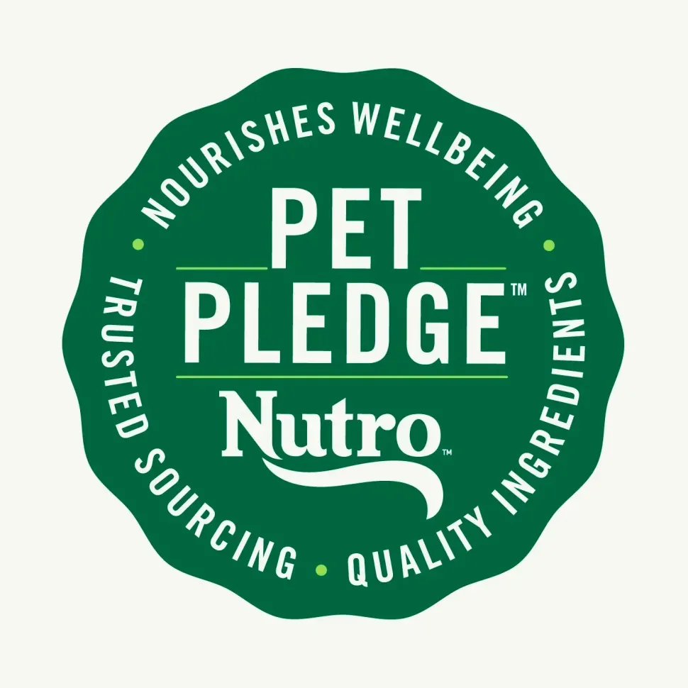 Nutro Wholesome Essentials Chicken & Brown Rice Recipe Senior Dry Cat Food 5-lb