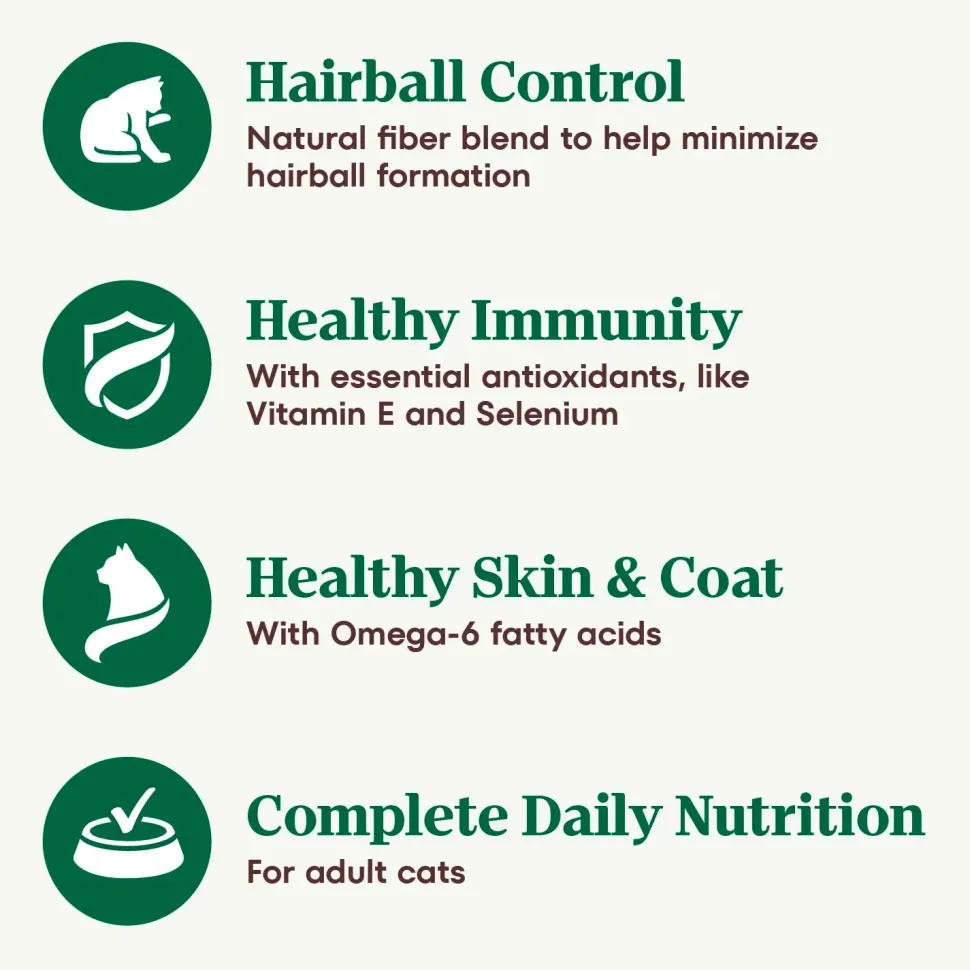 Nutro Wholesome Essentials Chicken & Brown Rice Hairball Control Adult Dry Cat Food 3-lb