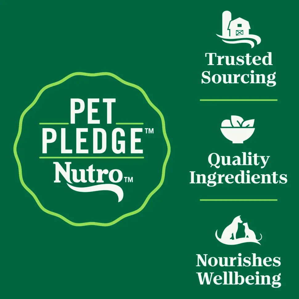 Nutro Wholesome Essentials Chicken & Brown Rice Early Development Kitten Dry Cat Food 5-lb