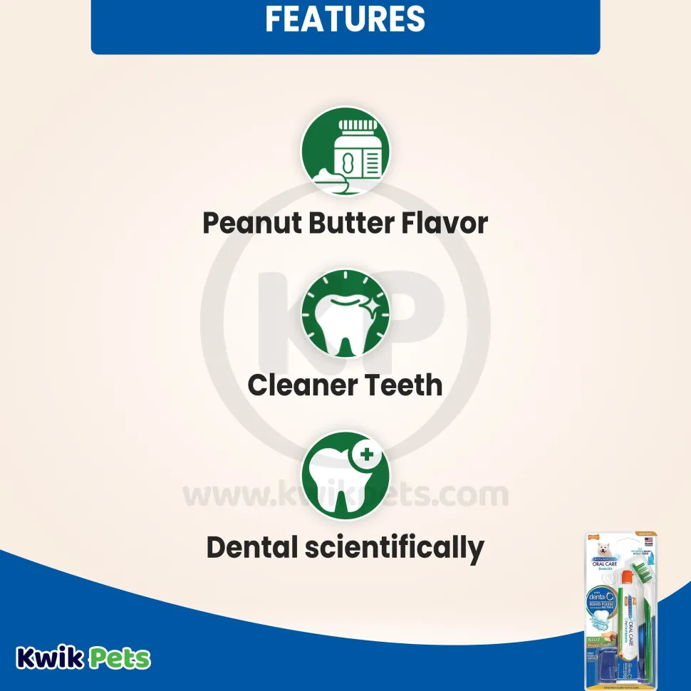 Nylabone Advanced Oral Care Natural Dog Dental Kit Peanut Butter 3 Count 2.5-oz