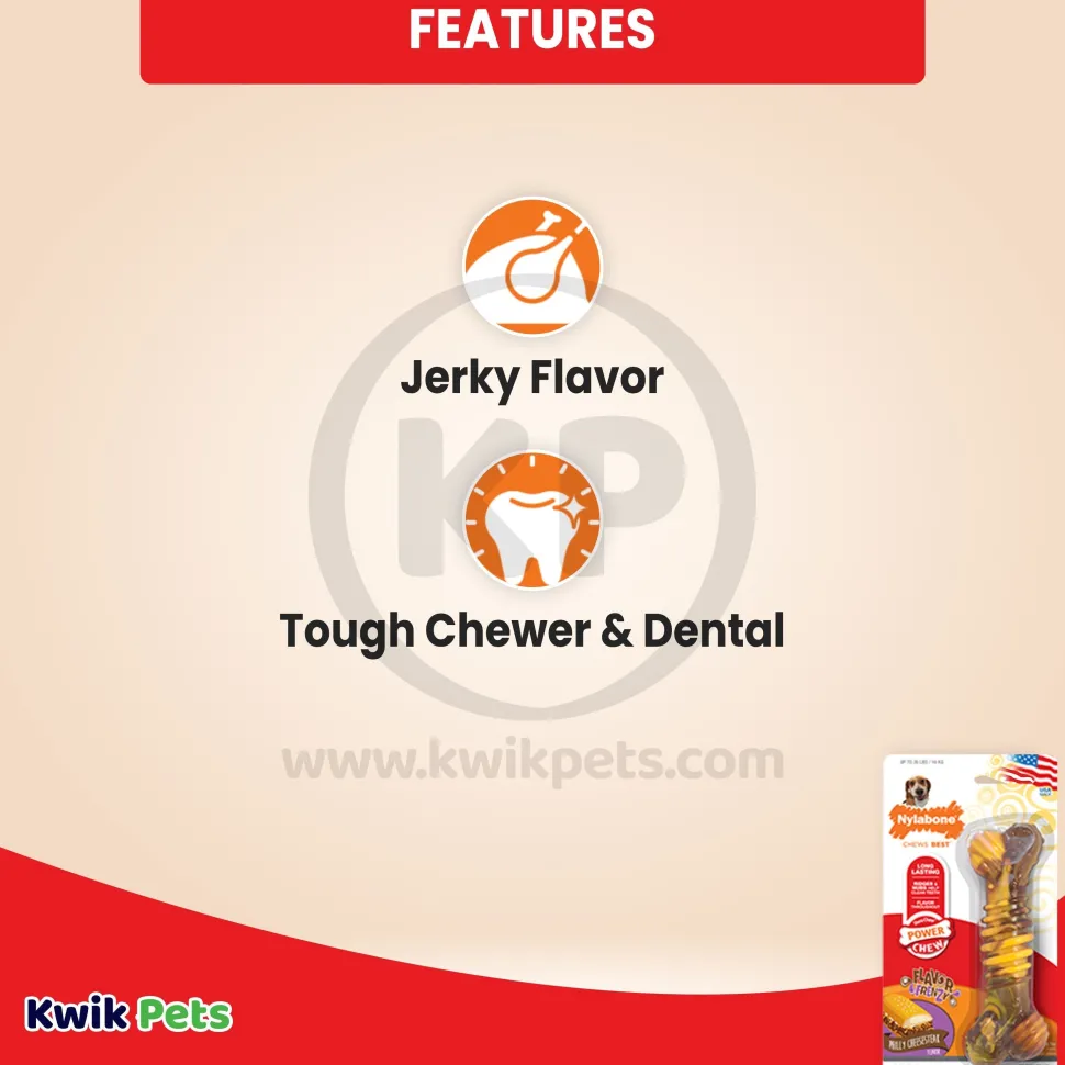 Nylabone Flavor Frenzy Power Chew Durable Dog Toy Philly Cheesesteak Medium/Wolf - Up To 35 lbs