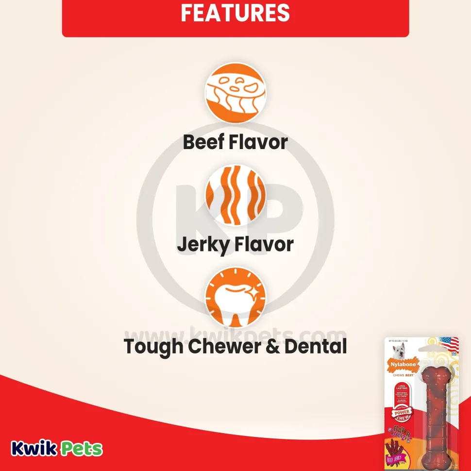 Nylabone Flavor Frenzy Power Chew Durable Dog Toy Beef Jerky Small/Regular - Up To 25 Ibs