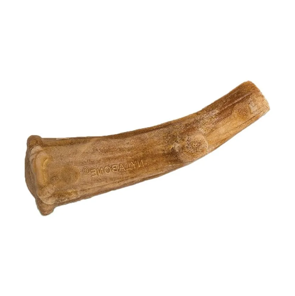 Nylabone Healthy Edibles Wild Antler Natural Long Lasting Dog Chew Treats Venison Large/Giant - Up To 50 lbs 10 Count