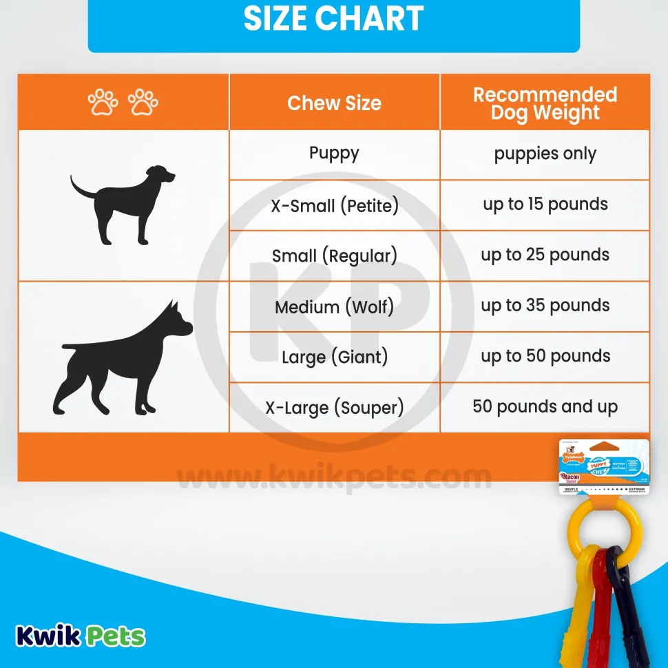 Nylabone Just for Puppies Teething Chew Toy Keys Bacon Medium/Wolf - Up To 35 lbs