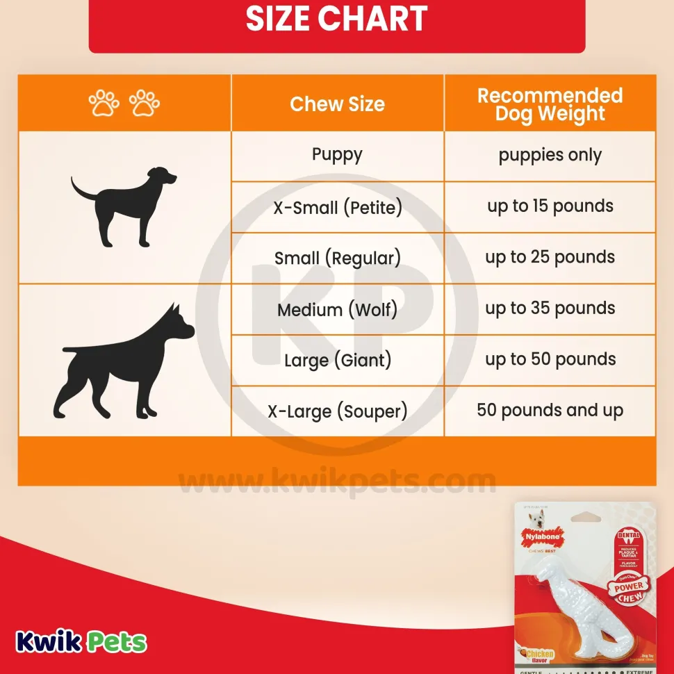 Nylabone Power Chew Dental Dinosaur Dog Toy Chicken White Small/Regular - Up To 25 Ibs