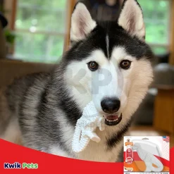 Nylabone Power Chew Dental Dinosaur Dog Toy Chicken White Large/Giant - Up To 50 lbs
