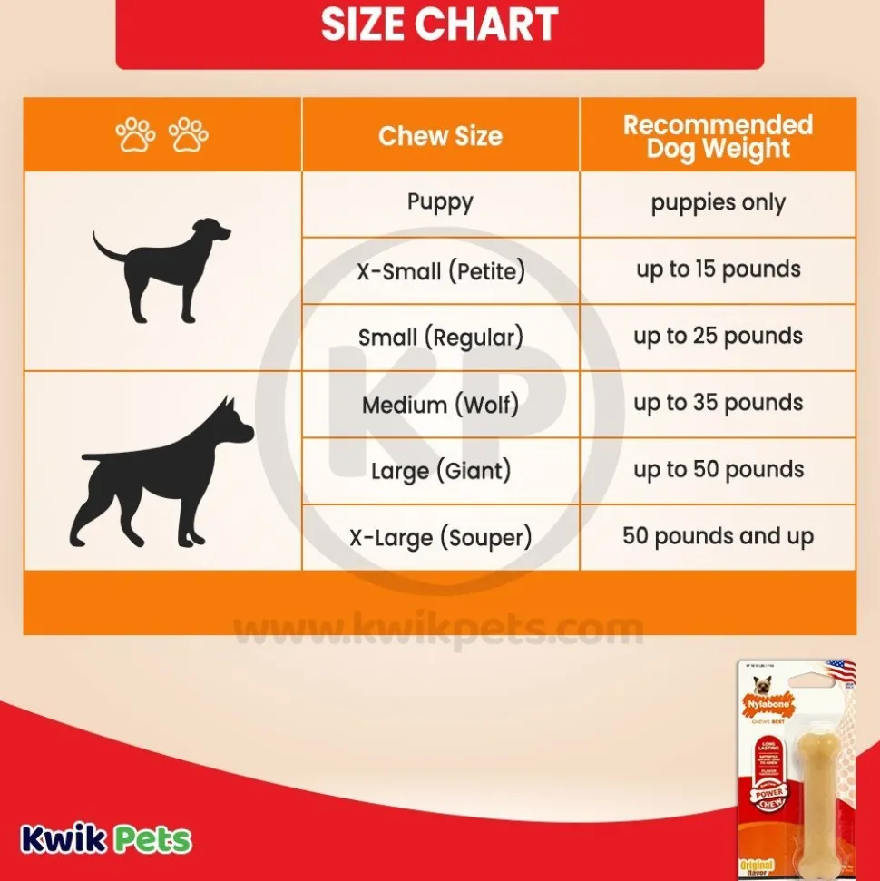 Nylabone Power Chew Dog Toy Original XS/Petite - Up To 15 lbs