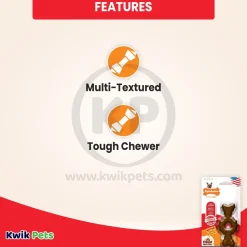 Nylabone Power Chew Ring Bone Dog Toy Medley Flavor XS/Petite - Up To 15 lbs