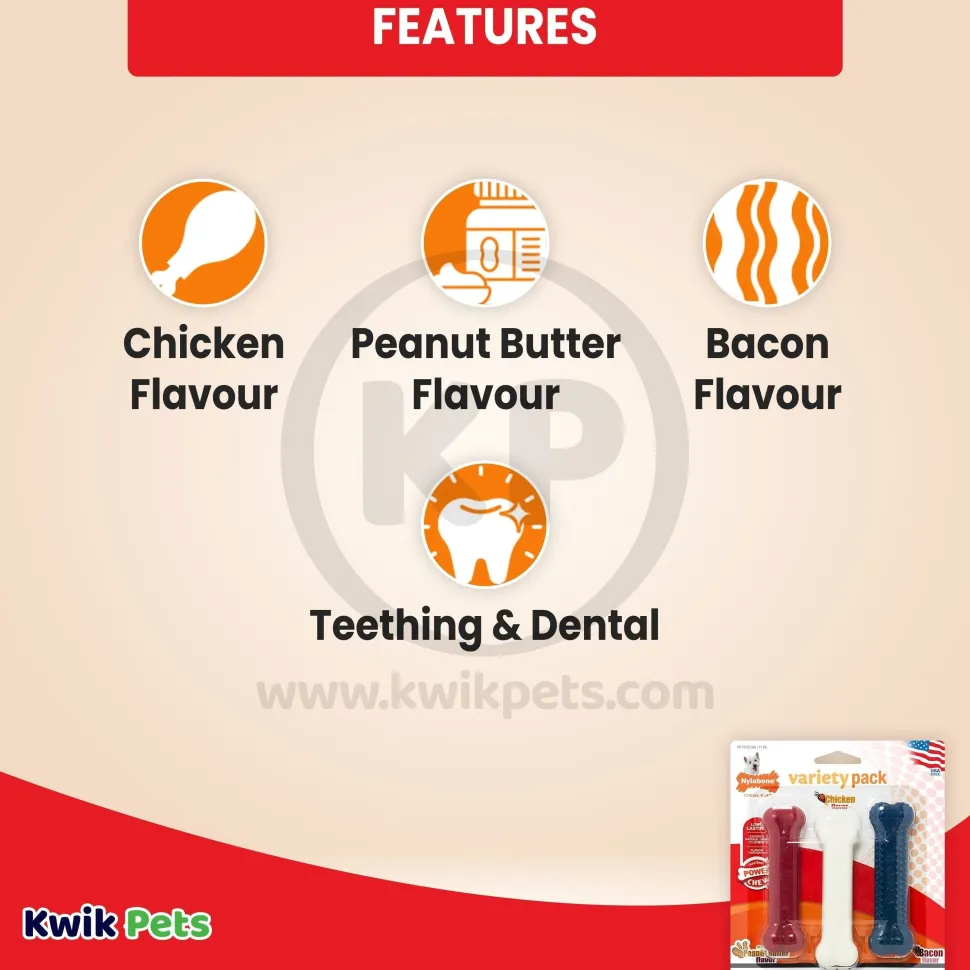 Nylabone Power Chew Variety Triple Pack Chicken Bacon & Peanut Butter Small/Regular - Up To 25 Ibs 3 Count