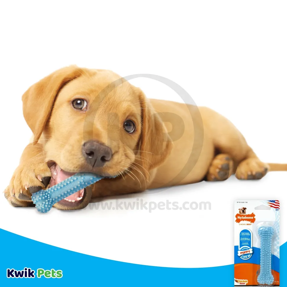 Nylabone Puppy Teething & Soothing Flexible Chew Toy Chicken Flavor Blue XS/Petite - Up To 15 lbs