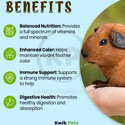 Oasis Vita-Drops High Potential Daily Multivitamin for Guinea Pigs 2-oz