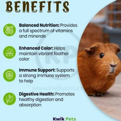 Oasis Vita-Drops Pure Vitamin C Supplement for Guinea Pigs 2-oz