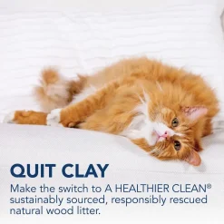 Okocat Low Tracking Clumping Mini Pellets Wood Cat Litter 10-lb