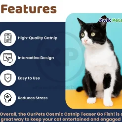 OurPets Cosmic Catnip Teaser Go Fish! Cat Toy