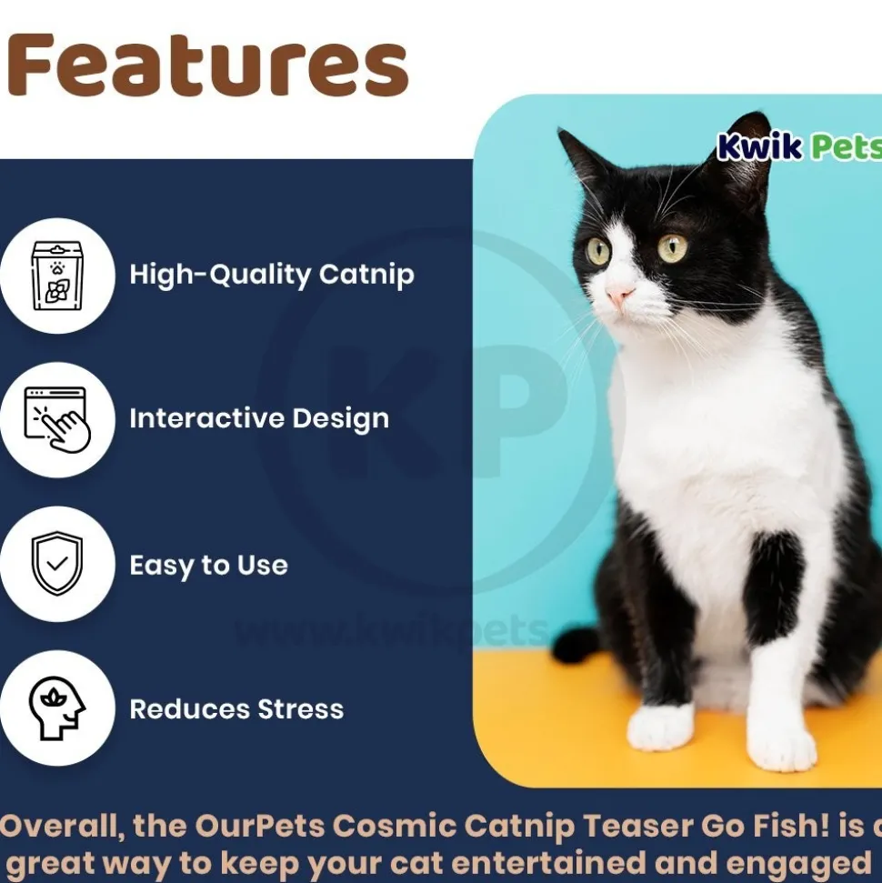 OurPets Cosmic Catnip Teaser Go Fish! Cat Toy