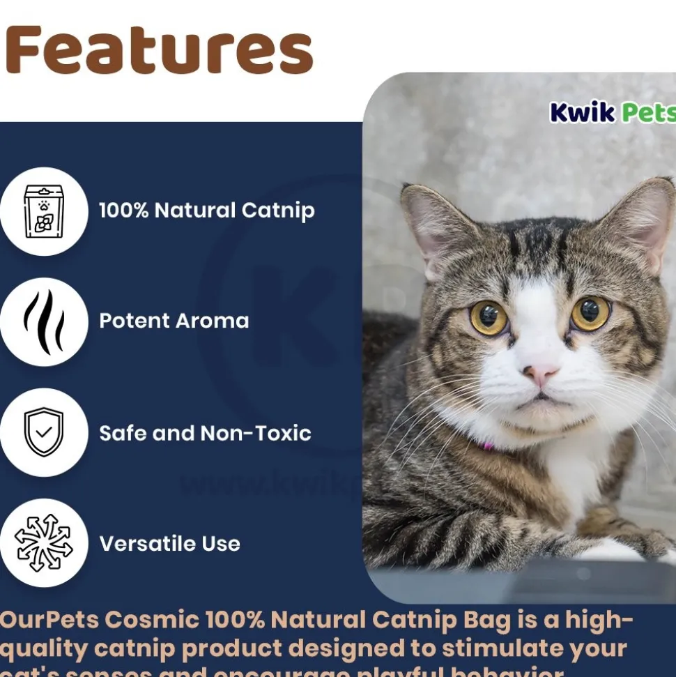 OurPets Cosmic 100% Natural Catnip Jar 1.25-oz
