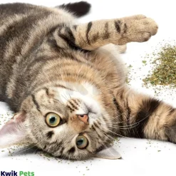 OurPets Cosmic 100% Natural Catnip Bag 0.5-oz