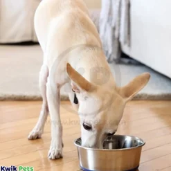 OurPets Durapet Premium Rubber Bonded Stainless Steel Cat Bowl Silver 8-oz