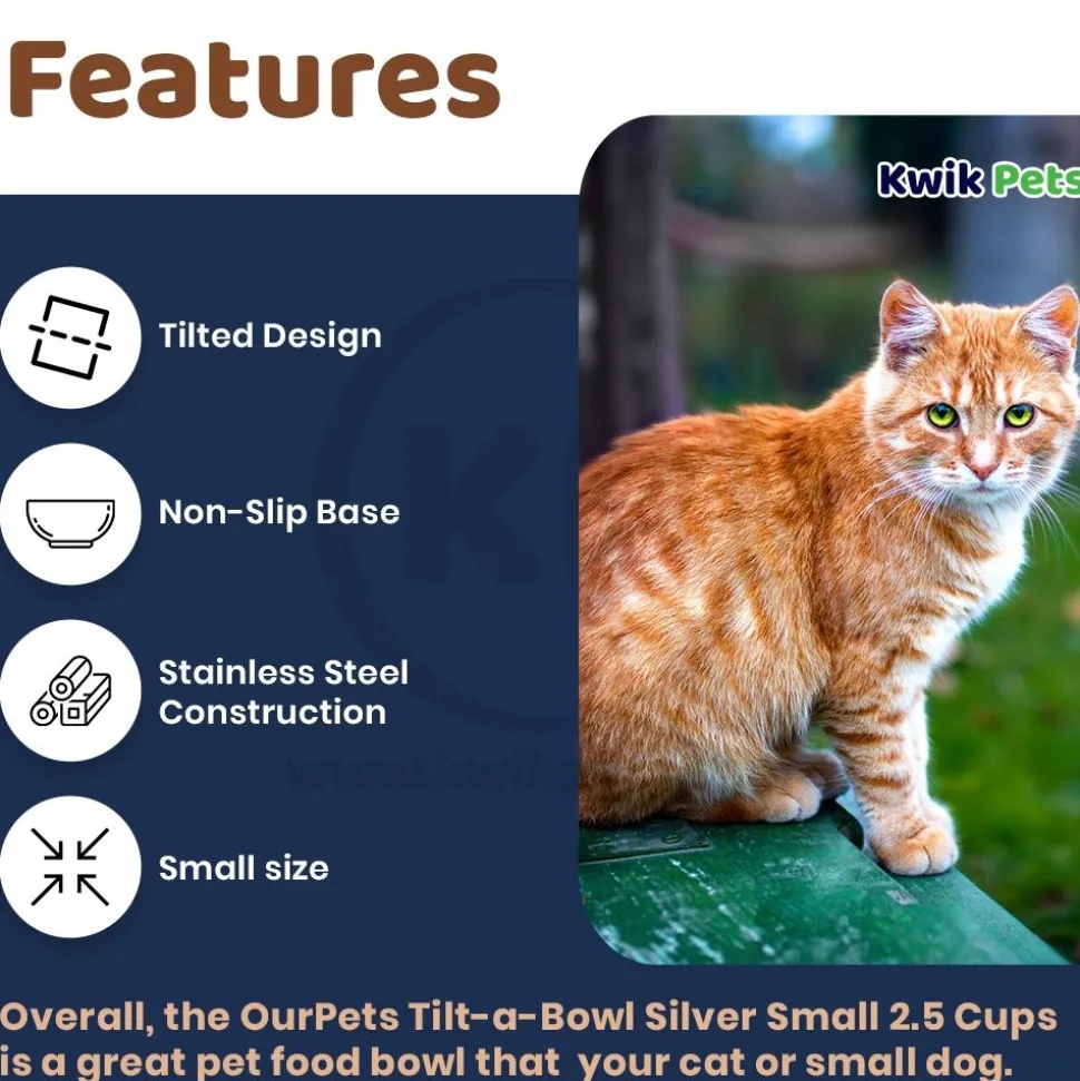 OurPets Stainless Steel Tilt-A-Bowl Small Dog & Cat Bowl 2.5-in