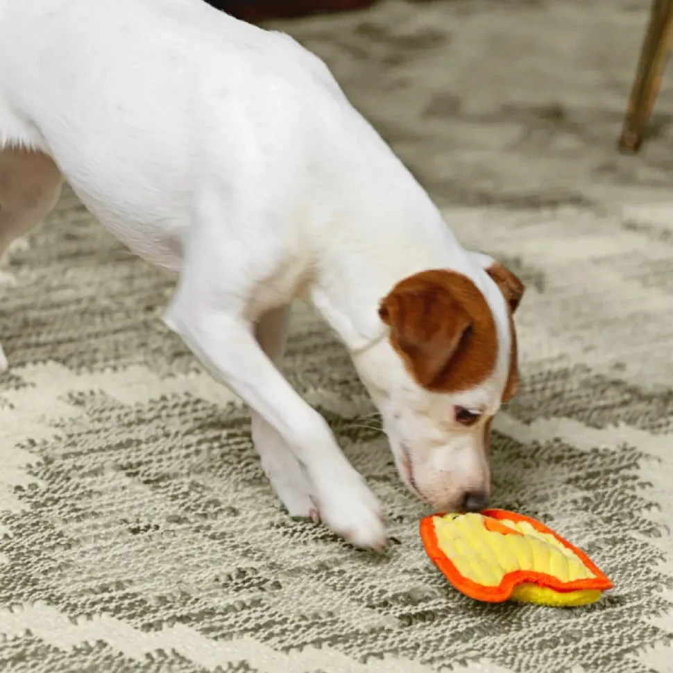 Outward Hound Durablez Chick Squeaky Plush Dog Toy Yellow Extra Small