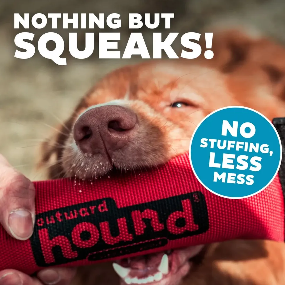 Outward Hound Firehose Squeak N Fetch Dog Toy Medium