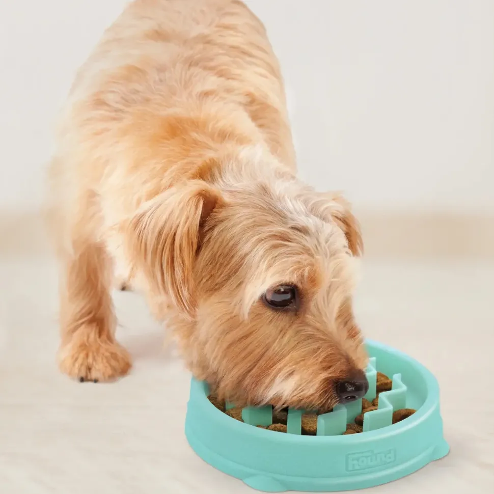 Outward Hound Fun Feeder Interactive Dog Bowl Slow Feeder Mint Extra Small