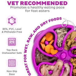 Outward Hound Fun Feeder Interactive Dog Bowl Slow Feeder Purple Small