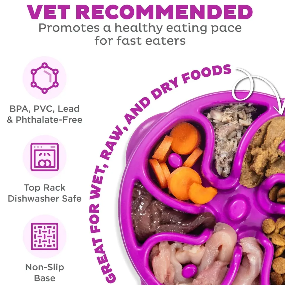 Outward Hound Fun Feeder Interactive Dog Bowl Slow Feeder Purple Small