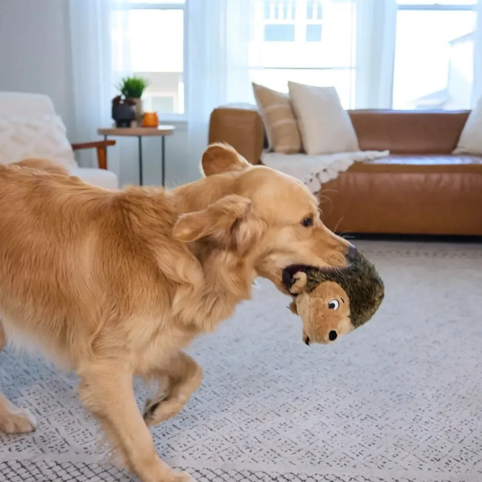 Outward Hound Hedgehog Dog Toy Large