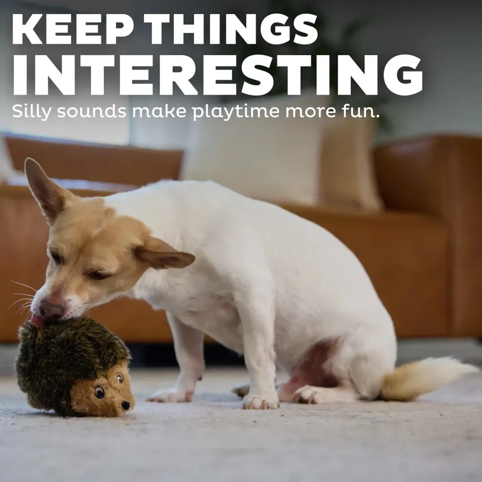 Outward Hound Hedgehog Dog Toy Small