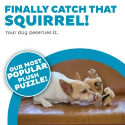 Outward Hound Hide-A-Squirrel Dog Toy Small
