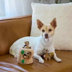 Outward Hound Hide-A-Squirrel Dog Toy Small