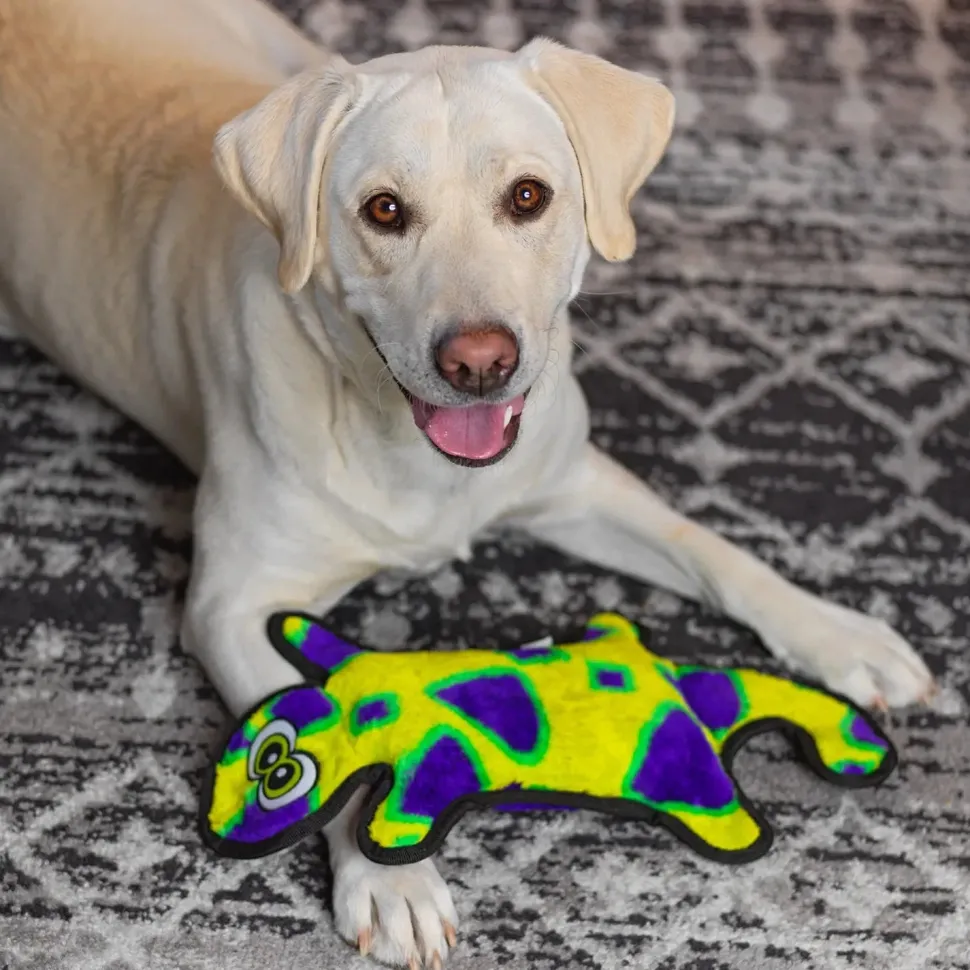 Outward Hound Invincibles Durablez Gecko Dog Toy Yellow & Green Large