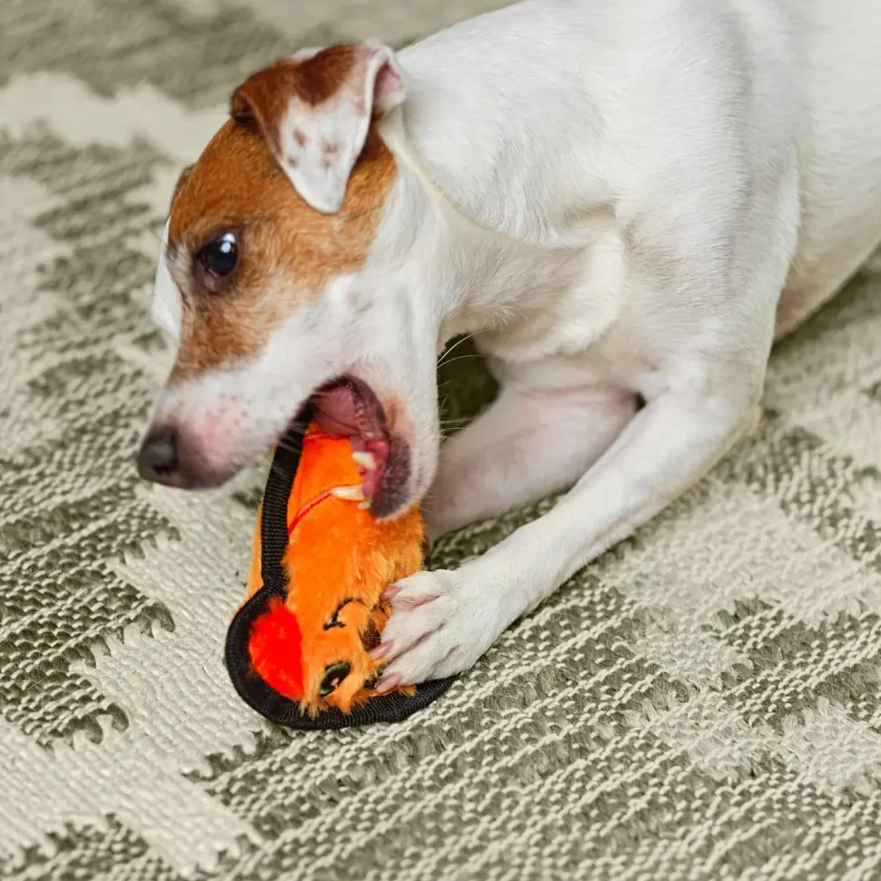 Outward Hound Invincibles Mini Dog Toy Dog XS