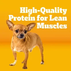 Pedigree Complete Nutrition Adult Dry Small Dog Food Roasted Chicken, Rice & Vegetable 3.5-lb