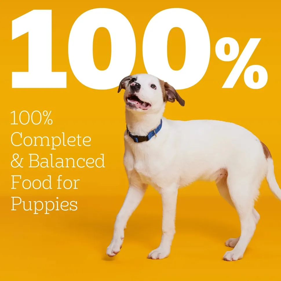 Pedigree Puppy Growth & Protection Dry Dog Food Chicken, Rice & Vegetable 3.5-lb