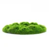 Penn-Plax Aqua-Flora Living Moss Patch Aquarium Ornament One Size