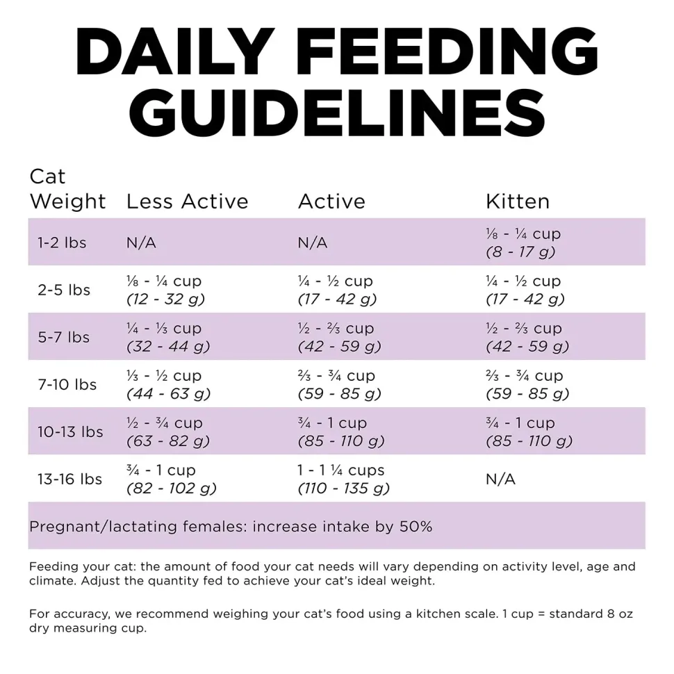 Petcurean Go! Solutions Carnivore Grain-Free Dry Cat Food Chicken Turkey & Duck Recipe 3-lb