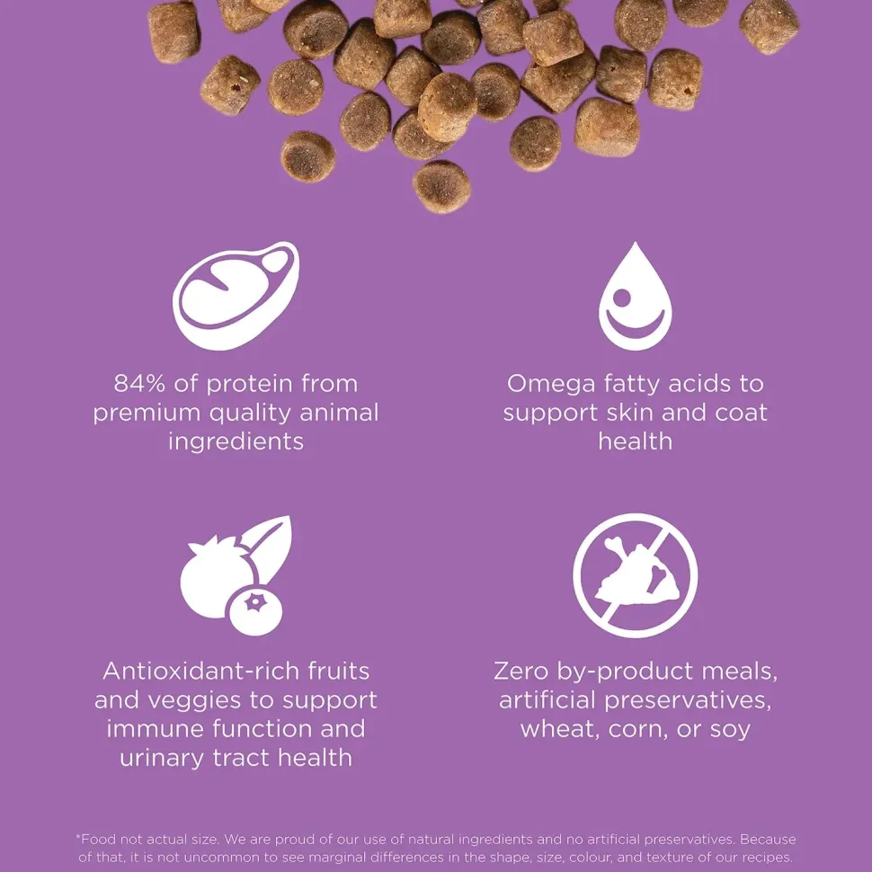 Petcurean Go! Solutions Carnivore Grain-Free Dry Cat Food Chicken Turkey & Duck Recipe 3-lb