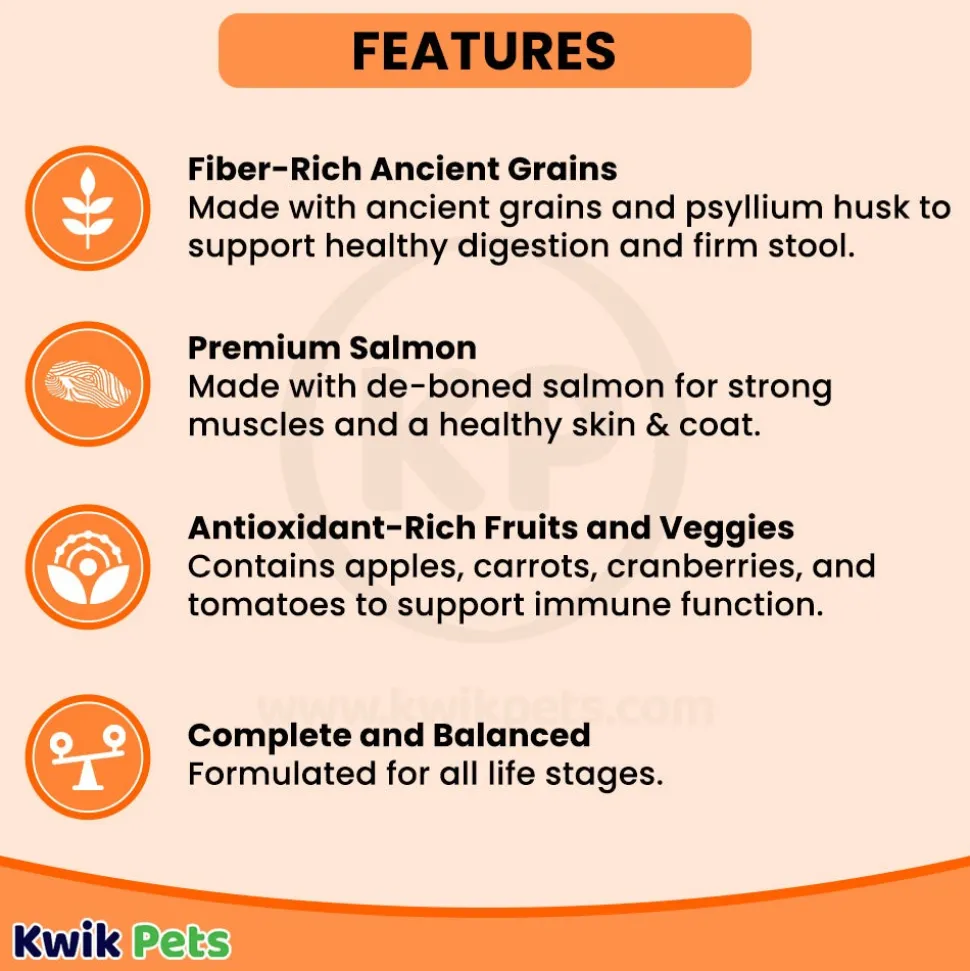 Petcurean Go! Solutions Digestion & Gut Health Dry Cat Food Salmon with Ancient Grains 3-lb